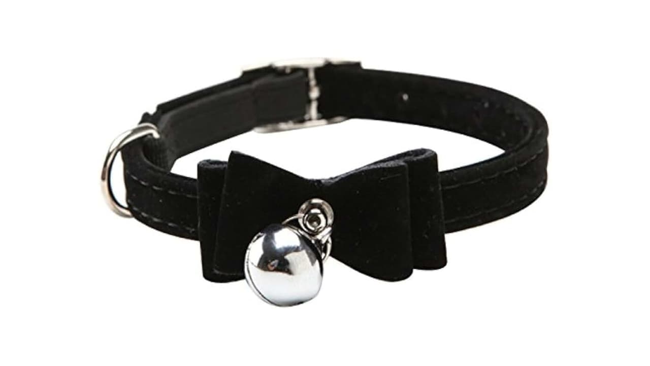 Melhor Coleira de Couro para Cachorro: 7 Modelos Premium para Todos os Tamanhos
