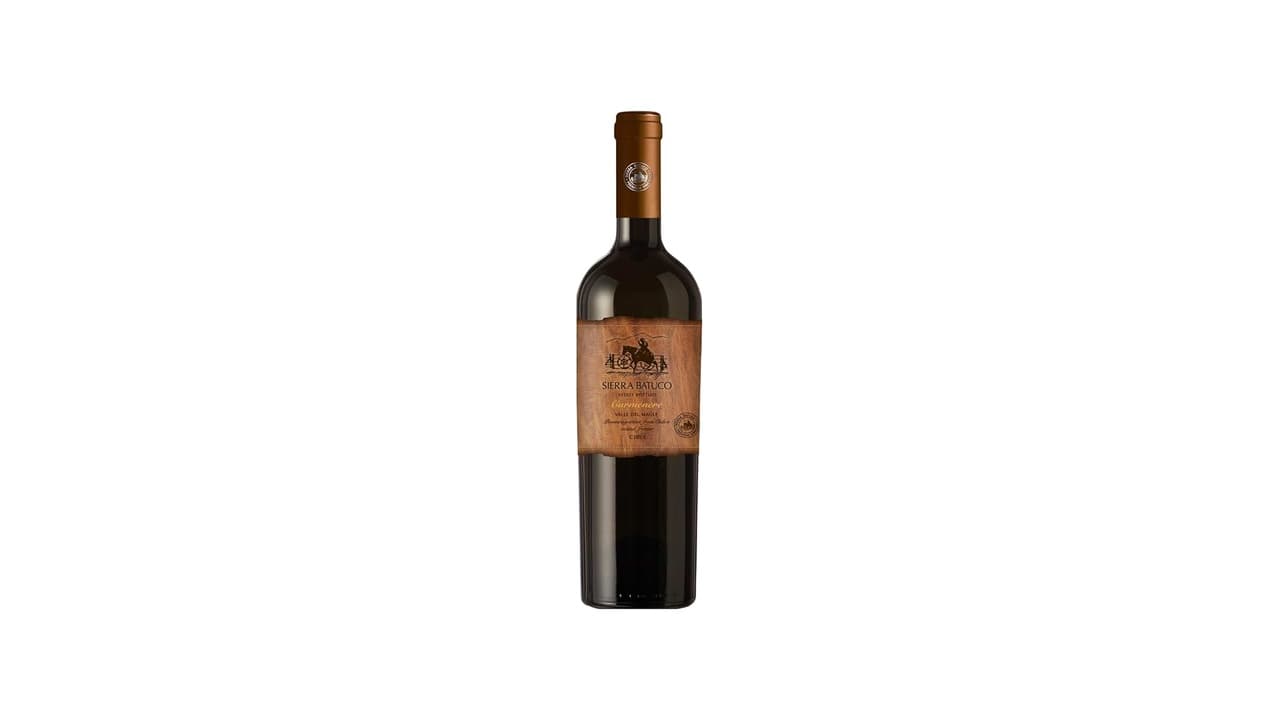 Melhor Vinho Argentino vs Chileno: 15 Opções Premium