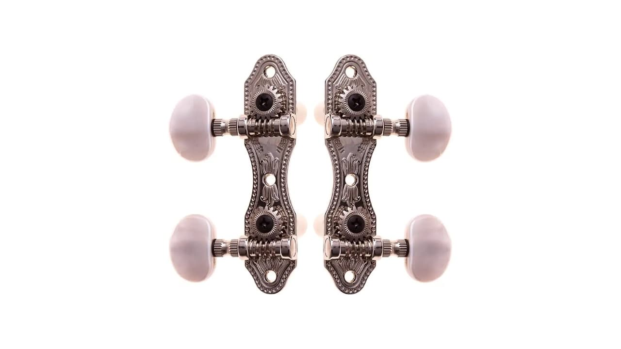 Qual Melhor Cavaquinho Rozini? 5 Modelos Testados e Aprovados!