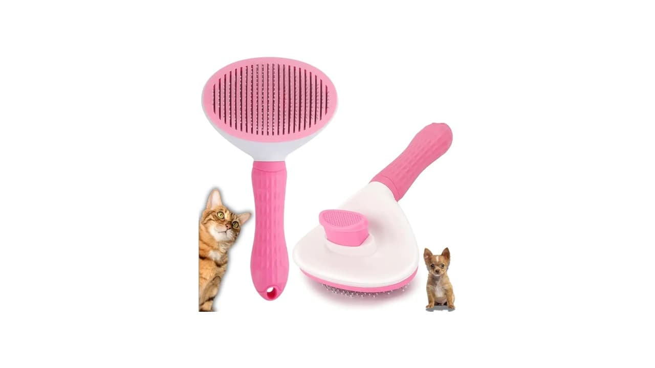 Qual Melhor Rasqueadeira para Gatos? 8 Modelos Testados para Pelos Longos e Grossos