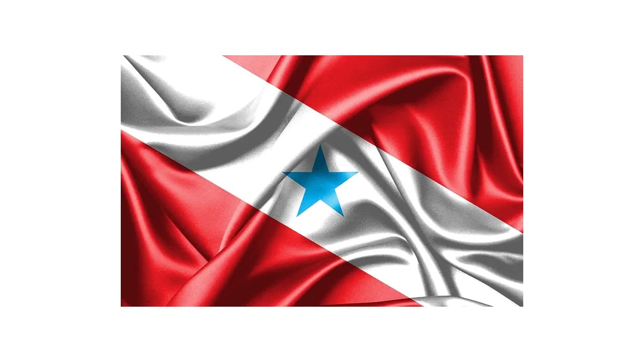 Qual a Melhor Bandeira de Estado para Mastro? 12 Opções para Exibir com Orgulho!