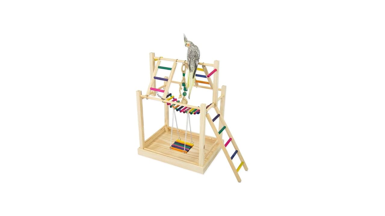 Qual Melhor Brinquedo para Calopsita? Descubra os 10 Brinquedos que Mais Divertem e Estimulam!