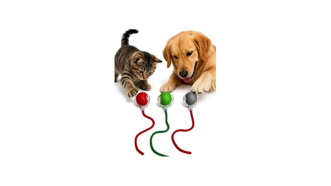 Qual o Melhor Brinquedo para Cachorro que Fica Sozinho? 10 Opções Testadas!