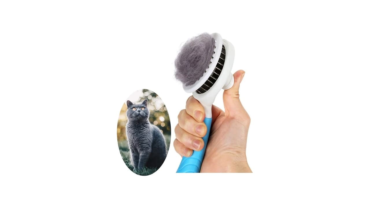 Qual a Melhor Escova para Cachorro? 10 Opções Top para Pelos Lisos e Cacheados!