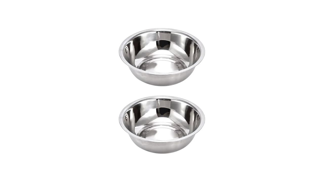 Qual a Melhor Vasilha para Cães e Gatos? Guia com 10 Opções Seguras e Práticas