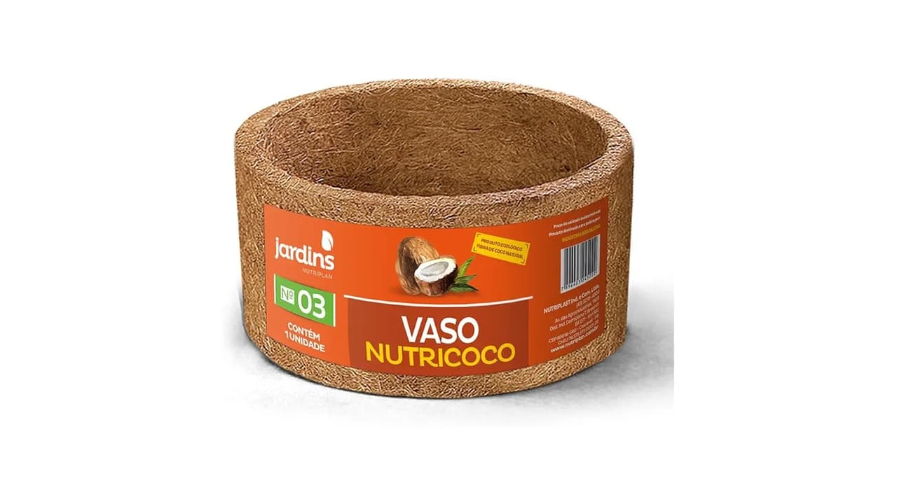 Qual o Melhor Vaso para Samambaia? Confira 8 Opções Testadas e Aprovadas!
